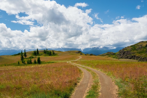 Summer path through mountains Trekking mountain trail Atmospheric rural minimalist alpine landscape with stony footpath among grasses in highlands Pathway uphill Rainy season