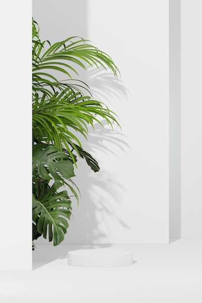 summer podium for product design minimal display shadow overlay