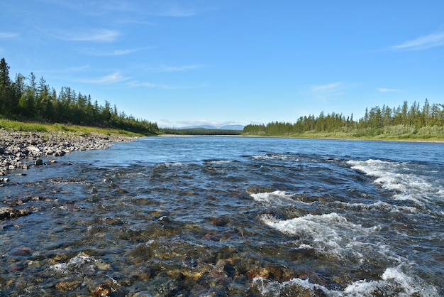 Summer in the Polar Urals the river Sob