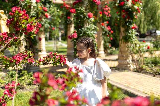 Summer portrait of pretty little girl wearing white dress posing in red rose garden smelling flowers