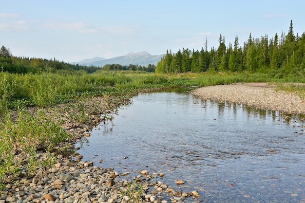 Summer river landscape in the national Park Yugyd VA