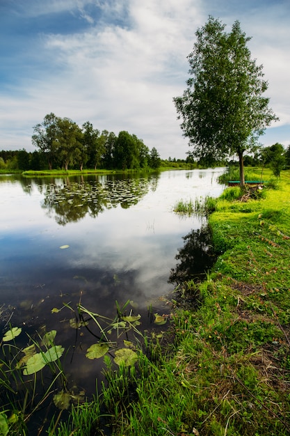 Summer river landscape with a tree on the shore