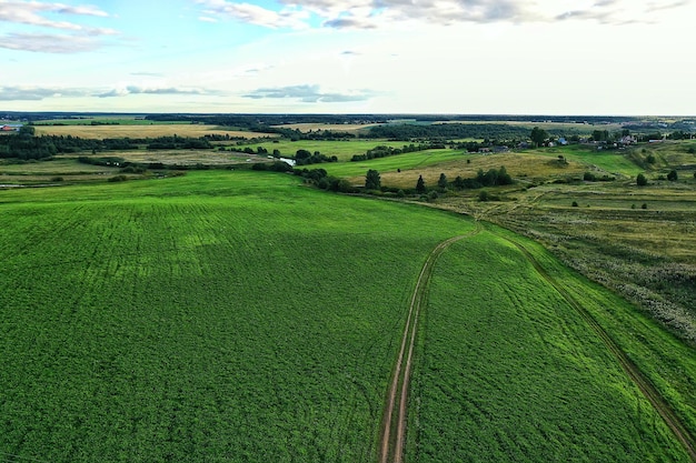 summer road top view drone, nature landscape background