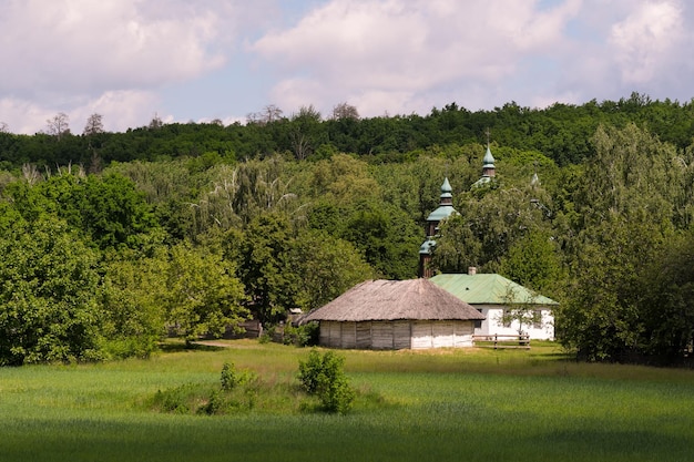 Summer rural landscape on a sunny day