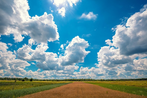 Summer rural landscape Wheat field with blue sky and beautiful clouds