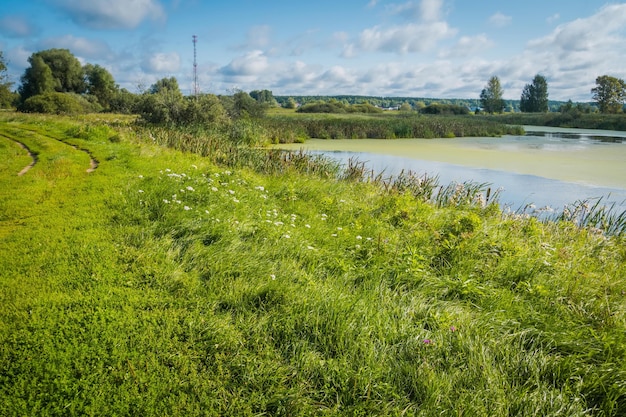 Summer rural landscape with river and blue sky background.