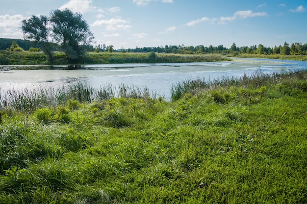 Summer rural landscape with river and blue sky