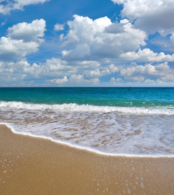 Summer on the sea beach