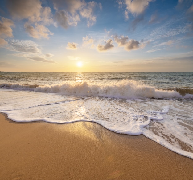 Summer on the sea beach.