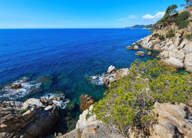 Summer sea rocky coast view with conifer trees (Catalonia, Spain).