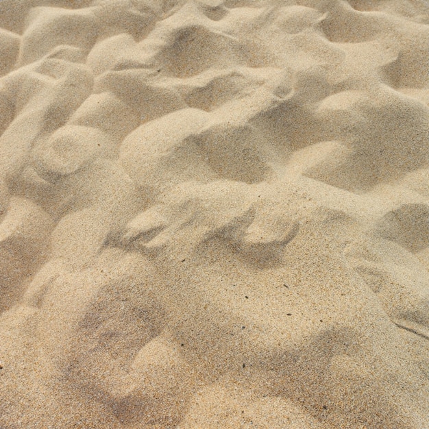 Summer sea sand texture seamless sun