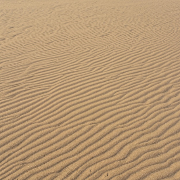 Summer sea sand texture seamless sun