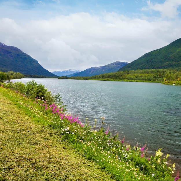 Summer Senja coast Storelva Norway