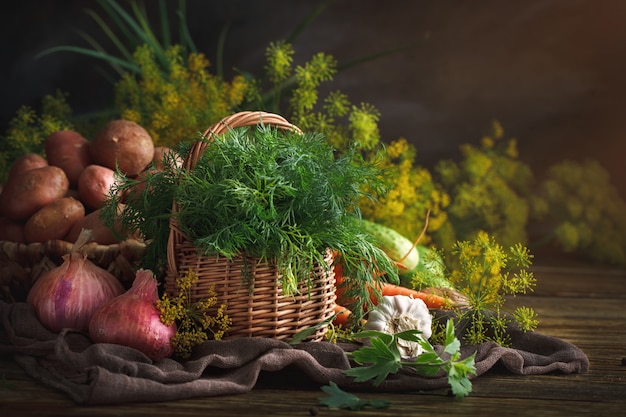 Summer still life of ripe vegetables and dill.