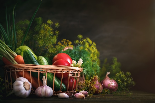 Summer still life of ripe vegetables and dill.