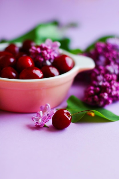 Summer still life with ripe cherries in a plate and lilac on a purple background selective focus closeup