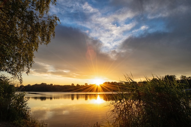 summer sunset on the lake in the park