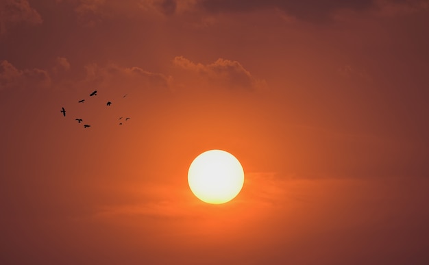 Summer sunset. The setting sun in a cloudy sky background