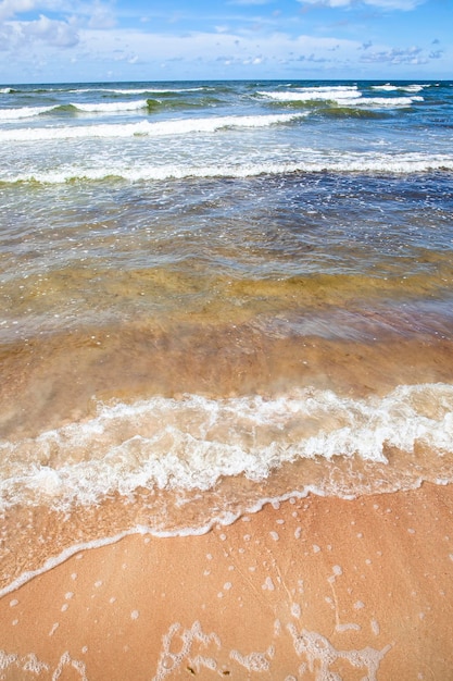 Summer time on the baltic cold sea in sunny weather