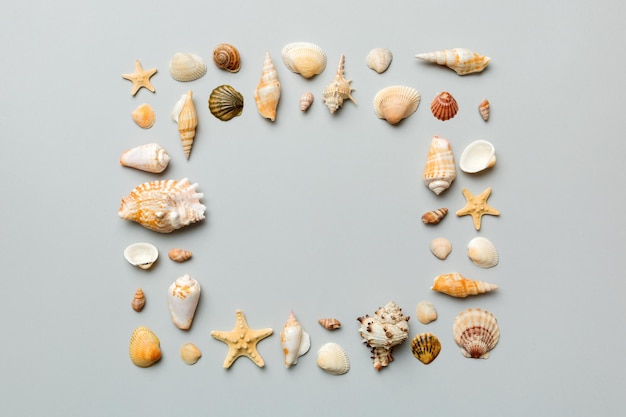 Summer time concept on colored background Seashells from ocean shore in the shape of frame separated with space for text top view