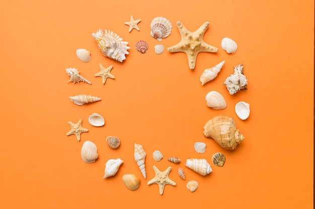 Summer time concept on colored background Seashells from ocean shore in the shape of frame separated with space for text top view