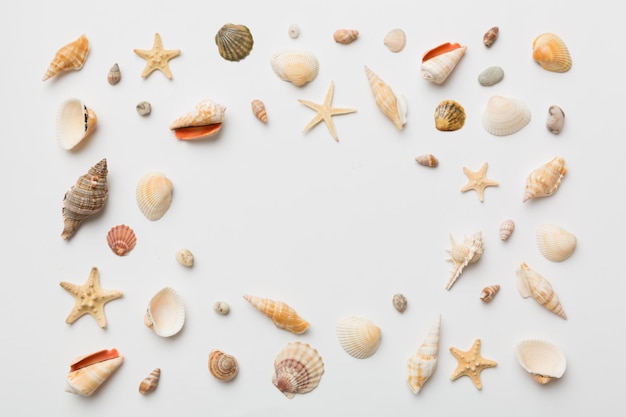 Summer time concept Flat lay composition with beautiful starfish and sea shells on colored table top view with copy space for text