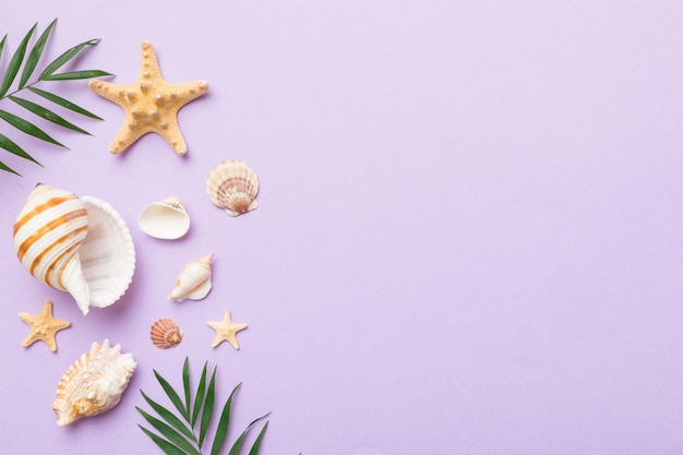 Summer time concept Flat lay composition with beautiful starfish and sea shells on colored table top view with copy space for text