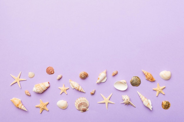 Summer time concept Flat lay composition with beautiful starfish and sea shells on colored table top view with copy space for text