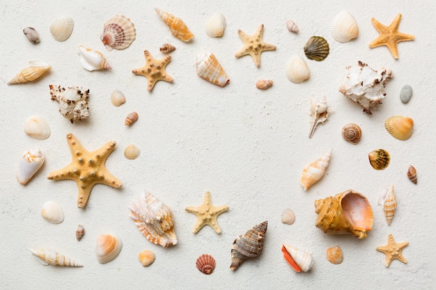 Summer time concept Flat lay composition with beautiful starfish and sea shells on colored table top view with copy space for text