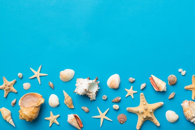 Summer time concept Flat lay composition with beautiful starfish and sea shells on colored table top view with copy space for text