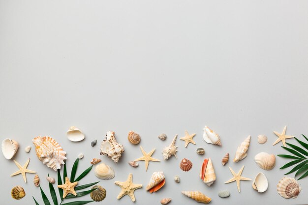 Summer time concept Flat lay composition with beautiful starfish and sea shells on colored table top view with copy space for text