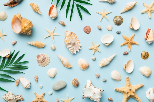 Summer time concept Flat lay composition with beautiful starfish and sea shells on colored table top view