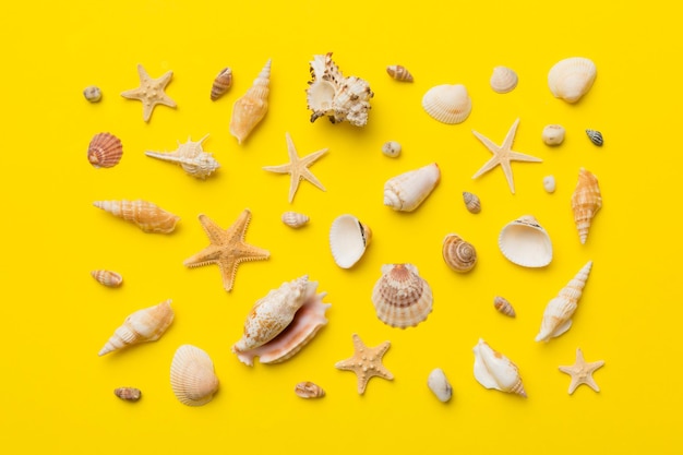 Summer time concept Flat lay composition with beautiful starfish and sea shells on colored table top view