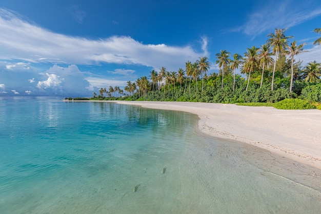 Summer travel background. Exotic tropical beach island, paradise coast. Palm trees sea bay sand sky