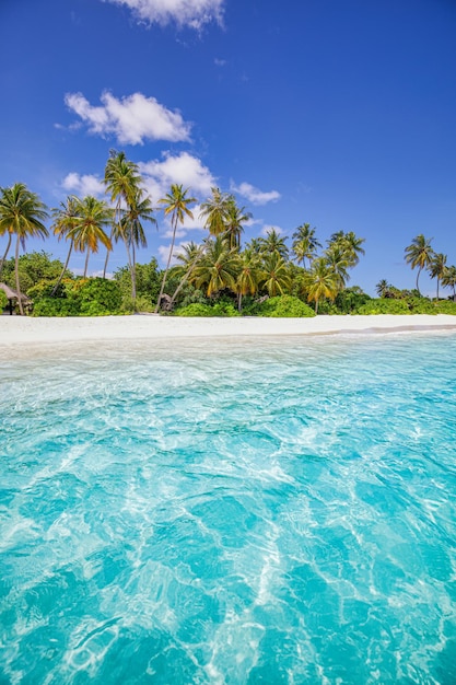 Summer travel background. Exotic tropical beach island, paradise coast. Palm trees sea sand sky