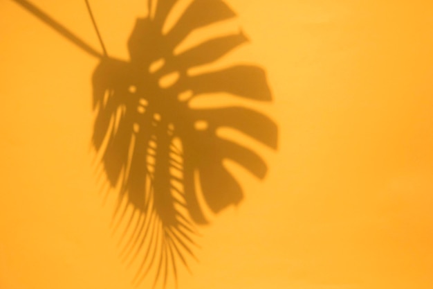 Summer trendy tropical leaf shadows on a bright orange background