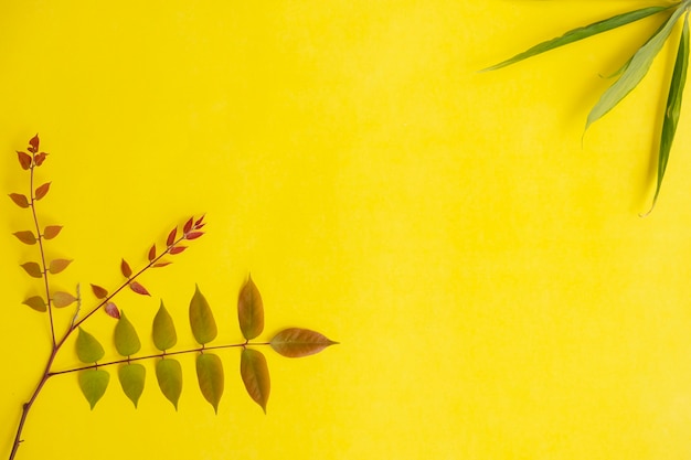 Summer Tropical Composition. Colored Leaves And Green Leaves On Yellow Paper Background. Summer Concept. Colored Leaves And Green Leaves Isolated On A Yellow Background.