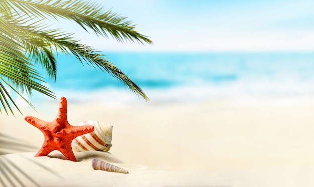 Summer tropical holiday vacation background. Palm leaves, seashells on the beach sand and defocused turquoise sea