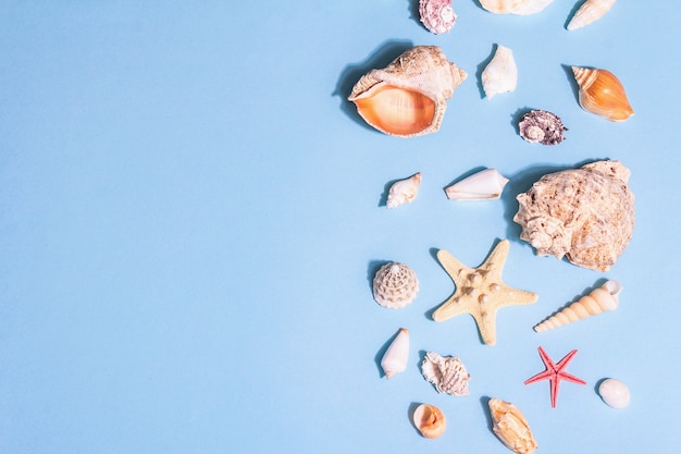 Summer vacation concept. Assorted seashells on a pastel blue background. A trendy hard light, dark shadow, flat lay, top view