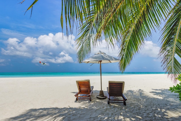 Summer vacation, sea sand sky beach, travel. Closeup couple chairs umbrella under palm trees, leaves