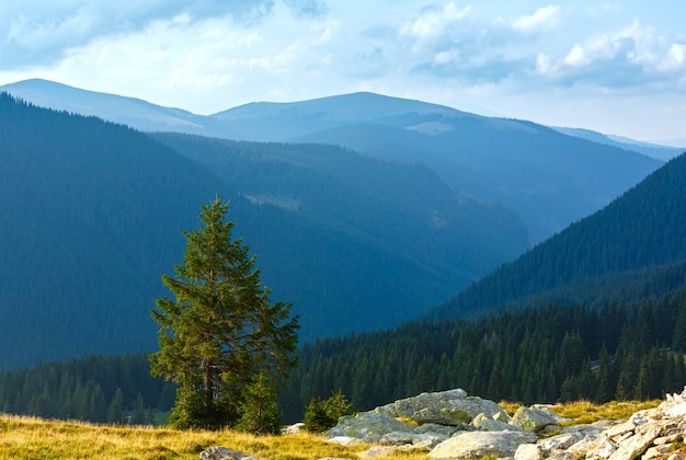 Summer view from Transalpina road