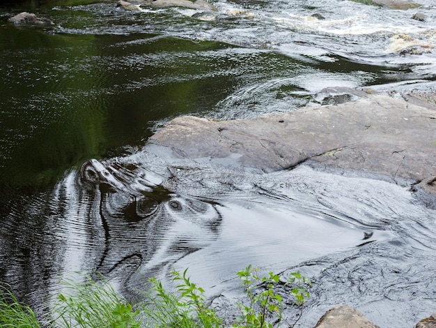 Summer view on river water from bank in Karelia