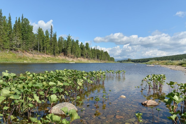 Summer in the Yugyd Va National Park