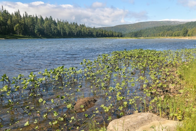 Summer in the Yugyd Va National Park