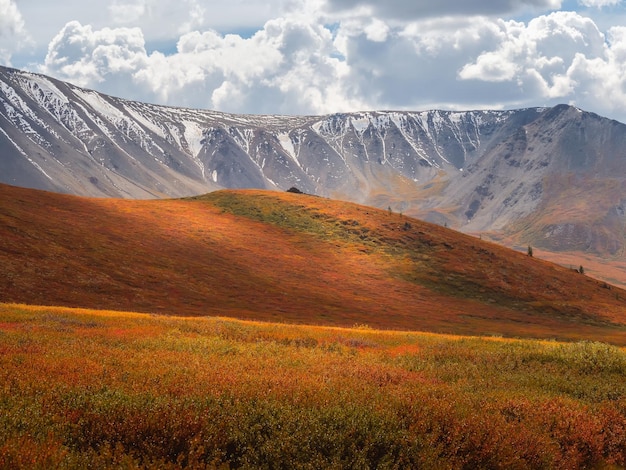 Sun after the rain over the summer mountain plateau Dramatic rainy alpine landscape in autumn valley and dark mountain sharps in low clouds Atmospheric awesome view to hike trail through the mount