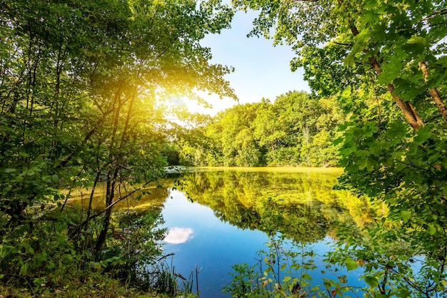 Sun over lake in the forest in summer