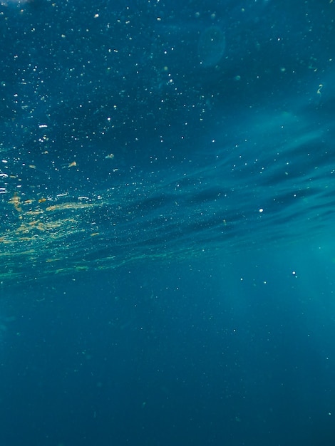 Photo sun light beams shining from above coming through the deep blue water causing a reflections curtain. underwater ocean waves oscillate and flow. scene light rays creates a beautiful veil