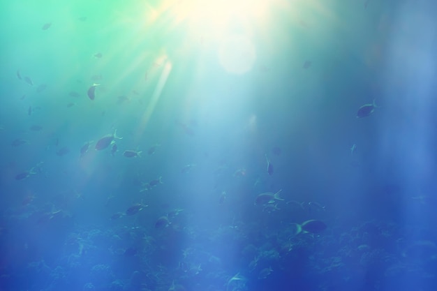 sun rays scuba reef / blue sea, abstract background, sunny day, rays in water