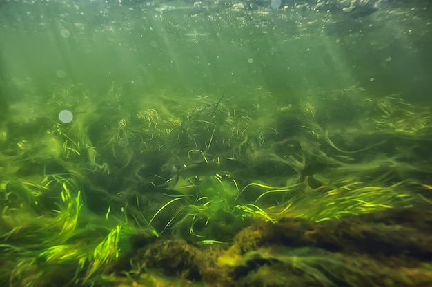 sun rays under water landscape, seascape fresh water river diving