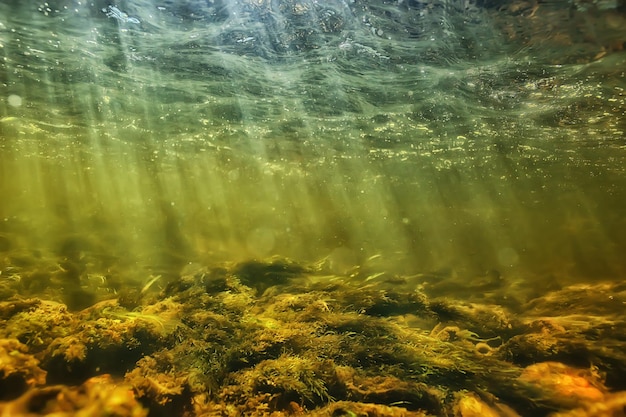 sun rays under water landscape, seascape fresh water river diving